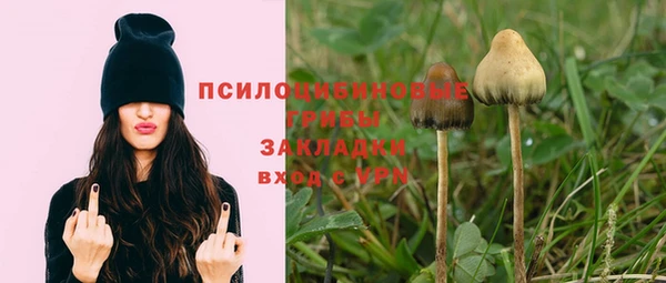 молекула духа Абинск