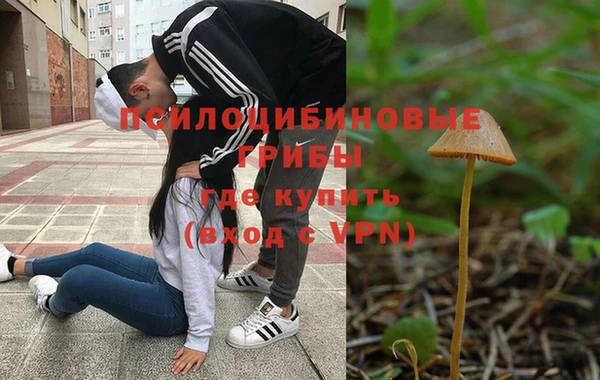 молекула духа Абинск